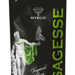 Pochette de fleur CBD Tropical Haze puissante Mybud France