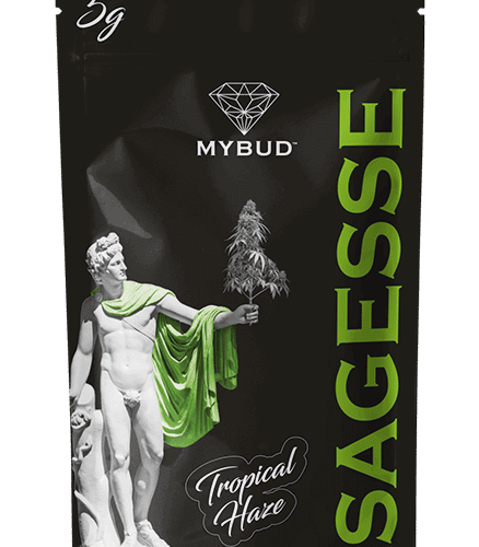 Pochette de fleur CBD Tropical Haze puissante Mybud France