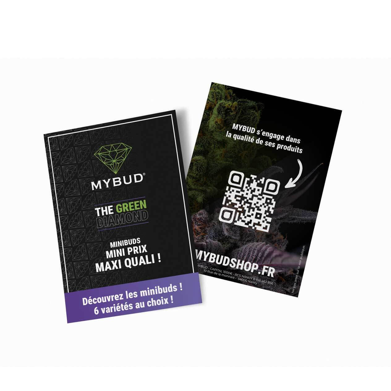 flyers a6 mini buds
