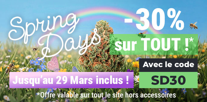 cbd promo printemps mybud
