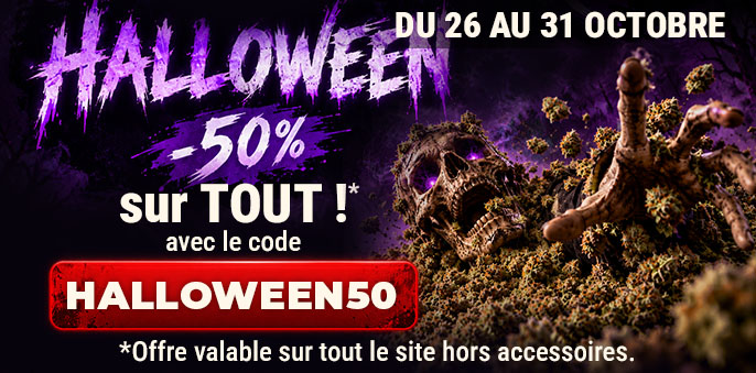 promo cbd automne 2026