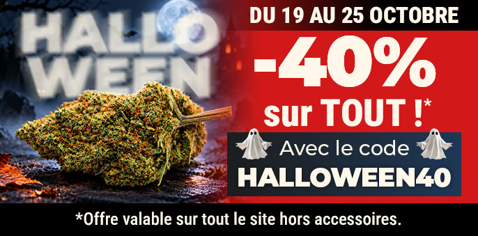 promo cbd automne 2026
